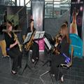 The Asa Sax Quartet